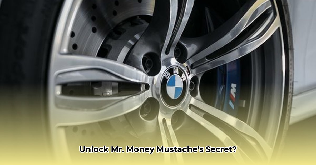 mr-money-mustache-net-worth